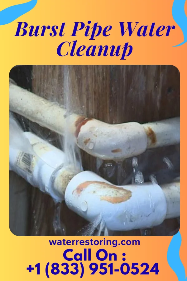 Burst Pipe Water Cleanup in Mifflin, OH