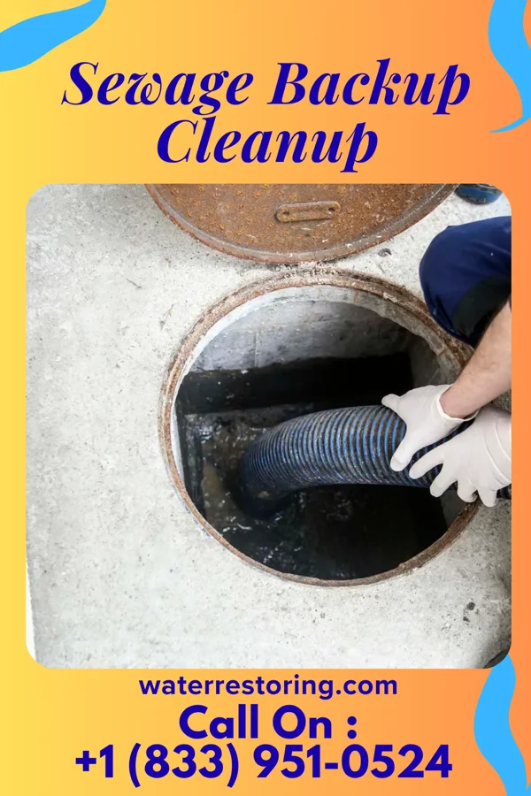 Sewage Backup Cleanup in Mifflin, OH